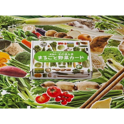 春バーゲン 単行本 足立己幸 実物大そのまんままるごと野菜カード 群羊社のたのしい食育教材シリーズ 送料無料 感謝価格 Diquinsa Com Mx