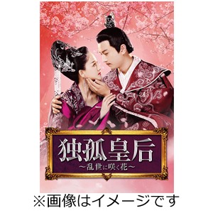 独孤皇后 〜乱世に咲く花〜 DVD-BOX1/ジョー・チェン[DVD]【返品種別A】
