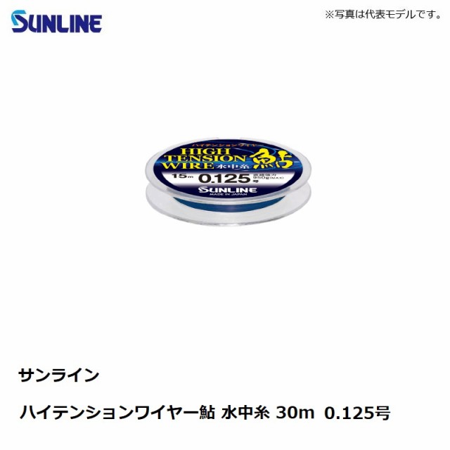 100 安心保証 サンライン ハイテンションワイヤー鮎 水中糸 30m 0 125号 メタリックブルー アユ釣り ライン メタル 釣具 釣り具 高い品質 Centrodeladultomayor Com Uy