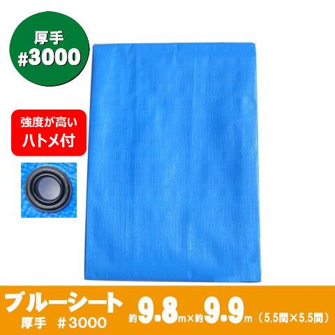 のオシャレな ブルーシート 厚手 9 8mx9 9m 5 5間x5 5間 約60畳 3000 ポリカーボネートハトメ付 作業シート 当社オリジナル ブランドおしゃれ Carlavista Com