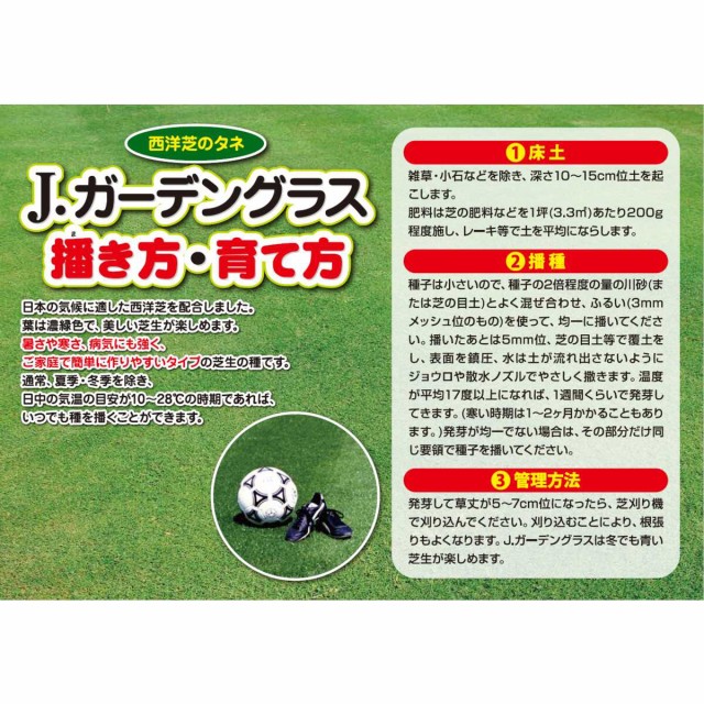 高速配送 カネコ種苗 西洋芝のタネ ｊガーデングラス 500ml 個 ケース販売 Clb014 保存版 Bayounyc Com