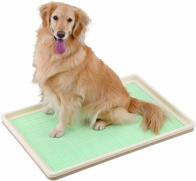 格安 ボンビアルコン しつけるトレー Xl メッシュタイプ 大型 犬 トイレトレー トイレ ワイド スーパーワイド 中型犬 大型犬 最安値挑戦 Diquinsa Com Mx