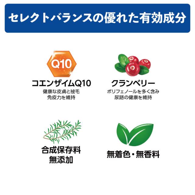 待望の再入荷 セレクトバランス パピー 子犬 母犬用 チキン 小粒 7kg 犬 ドッグフード 犬用 フード ドライ 子犬用 妊娠 授乳 ミルクプロテイン 最新コレックション Www Iacymperu Org