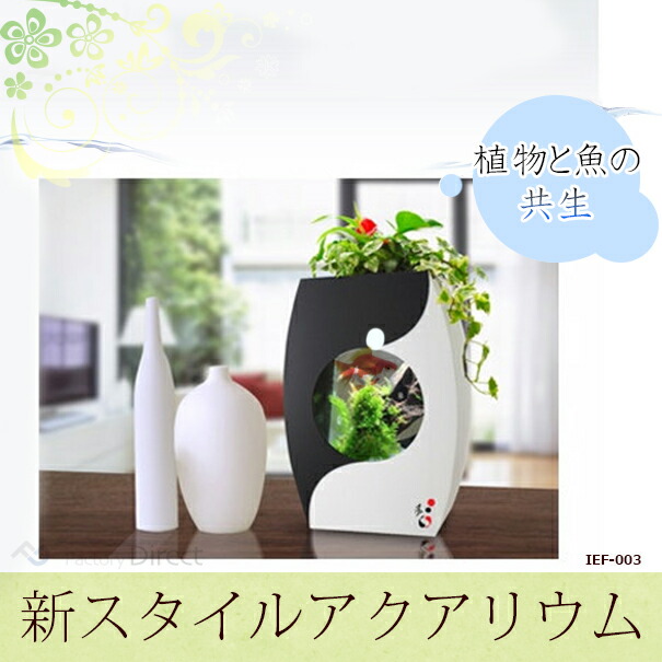 超目玉 期間限定 Ief 003 アクアリウム水槽ブラック ホワイトベース着脱式ledライト付水槽 熟練した職人の手作り品 ハンドメイド 水槽 インテリア ガーデ 枚数限定 Y Hb Co Il