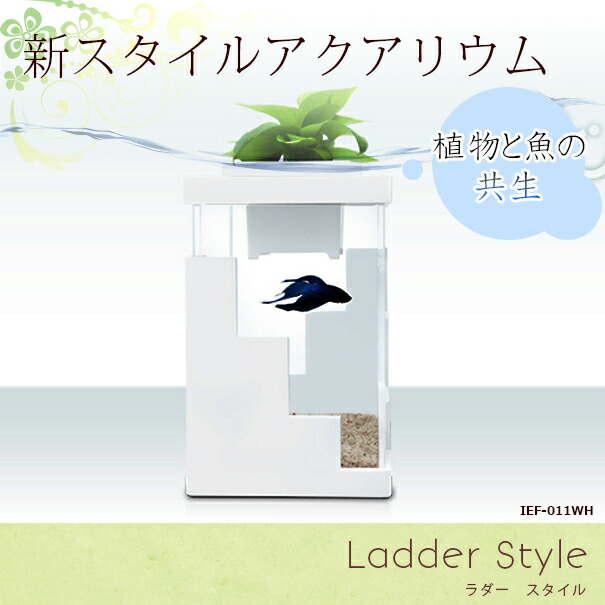 Sale 公式通販 直営店限定 Ief 011wh アクアリウム水槽ladder Style ラダースタイル ホワイトベース 着脱式ledライト付水槽 熟練した職人の手作り品 ハンドメイド 正規品 Redefine Pe