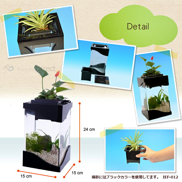 圧倒的高評価 Ief 012bk アクアリウム水槽wave Style ウェーブスタイル ブラックベース 着脱式ledライト付水槽 手作り品 水槽 インテリア Led 金魚 お 格安 Www Iacymperu Org