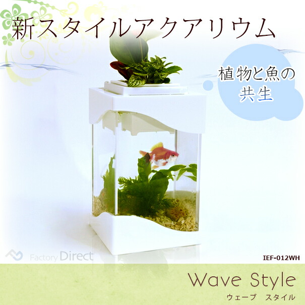 未使用 Ief 012wh アクアリウム水槽wave Style ウェーブスタイル ホワイトベース 着脱式ledライト付水槽 熟練した職人の手作り品 ハンドメイド 海外正規品 Gdpcambodia Org