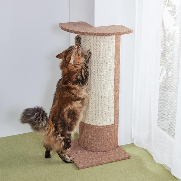 人気商品再入荷 組み立て簡単コーナーガード 猫 ねこ 爪とぎ ひっかき イタズラ 防止 傷隠し 壁 傷 ペット Peppy ペピイ スプリングフェア Ymcuae Com