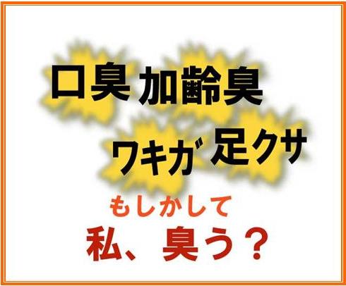 バナー2