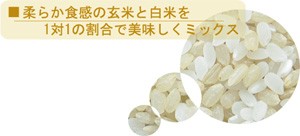 バナー1