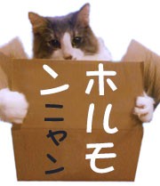 バナー4