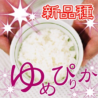 バナー1