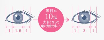 バナー4