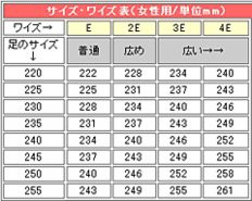 ファッショントレンド 最新のhd女性 足 サイズ 平均