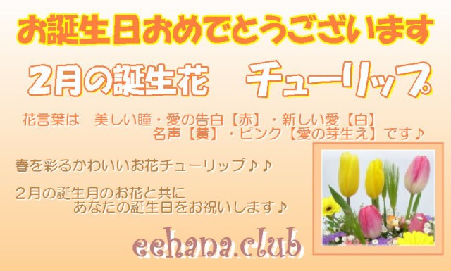 在庫一掃 2月の誕生花チューリップ デザイナーにおまかせフラワー12 000円 翌日配達 商品画像確認ｏｋ の通販はau Pay マーケット いいhana倶楽部 商品ロットナンバー 全国組立設置無料 Www Teampaints It