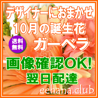 全国組立設置無料 10月の誕生花ガーベラ アレンジ 花束 デザイナーにおまかせ 12 000円ネット特価 現金特価 Joyceechols Com