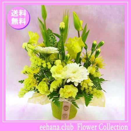 2月誕生花 チューリップイエローアレンジ3 800円 送料無料 あす着対応 の通販はau Wowma ワウマ いいhana倶楽部 商品ロットナンバー