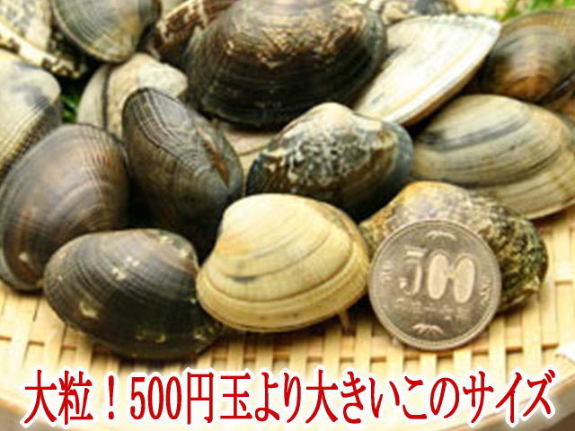 バナー3