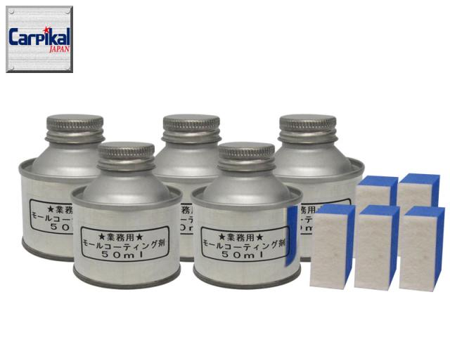 最安値に挑戦 アルミ バンパーモールコーティング剤 50cc 5個 色褪せバンパー バンパー艶出 劣化ホイール アルミホイール保護 白濁 梨地バンパー 絶対一番安い Luzbaires Com Ar