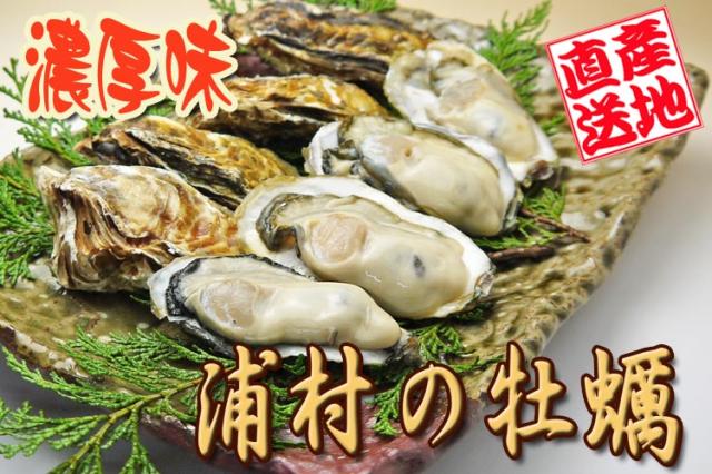 バナー1
