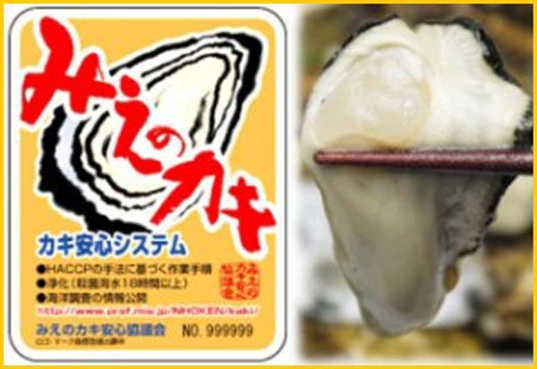 バナー2