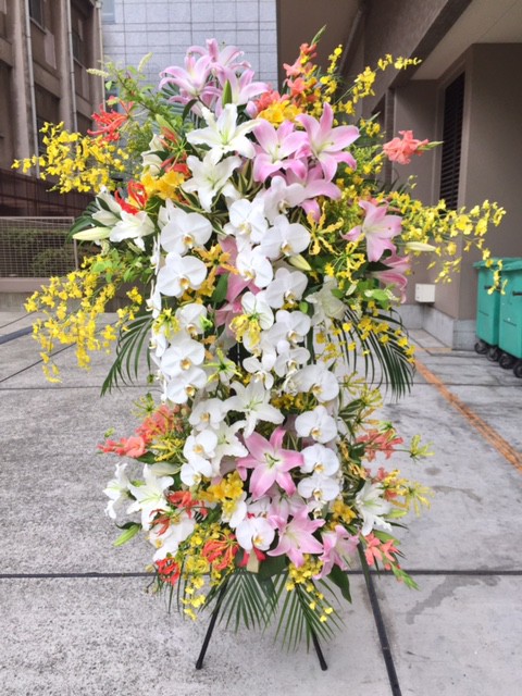 元の開店花 最高の花の画像