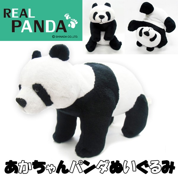 Ruten Japan Baby Panda Plush Toy Real Panda Real Panda Akachan Panda Stuffed Toy Movable Sitting Yotsubanai Goron 赤ちゃんパンダぬいぐるみ Real Panda リアルパンダ あかちゃんパンダ ヌイグルミ 可動式 お座り よつんばい ゴロン