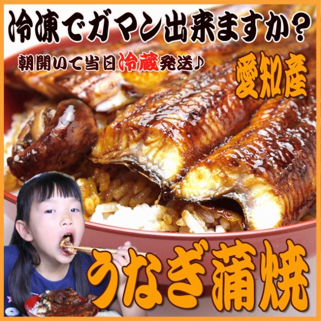 バナー4