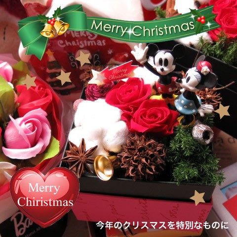 ブランドショッパー付き クリスマスプレゼント ミッキー ミニー入り 花 フラワーギフト 箱を開けてサプライズ ボックス 赤バラ プリザーブドフラワー 高知インター店 Carlavista Com