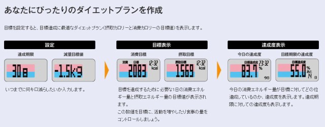 タニタ Tanita 活動量計 カロリズム ダイエット Am 130 Gd Tnt5130 Tnt5130 の通販はau Wowma ワウマ フクシスポーツ 商品ロットナンバー