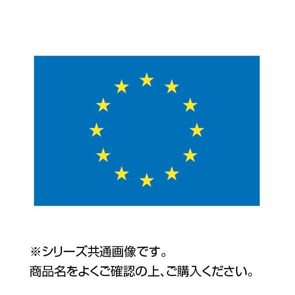 欧州連合(EU)国旗(120cm幅 エクスラン) 通販