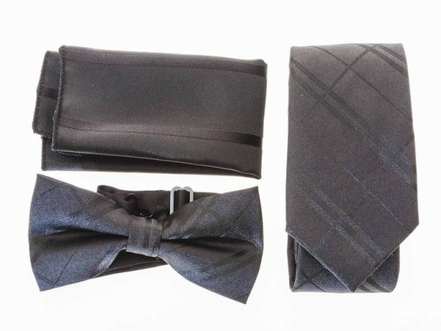 メンズファッション ビジネス カジュアル お洒落 ネクタイ 蝶ネクタイ