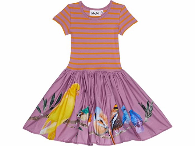 (取寄) モロ シッサ ドレス (リトル キッズ/ビッグ キッズ) Molo Cissa Dress (Little Kids/Big Kids) Bird Planets