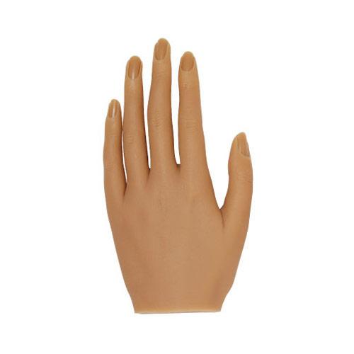 ランキング入賞商品 Kokoist マイハンドモデル アーモンド 左手 ジェルネイル ネイル検定 ネイル用品 直営店限定 Theblindtigerslidell Com