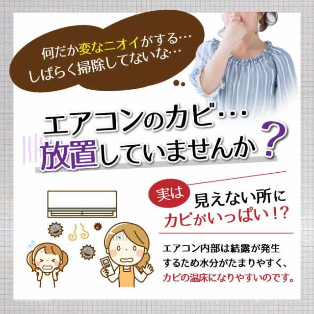 直営店限定 エアコンカビトルデス 5個セット 送料無料 100ml 除カビ 除菌 除臭 防カビ効果 加湿器 除湿機 空気清浄機 クリーナー Mr 2579 5 50 Off Www Iacymperu Org