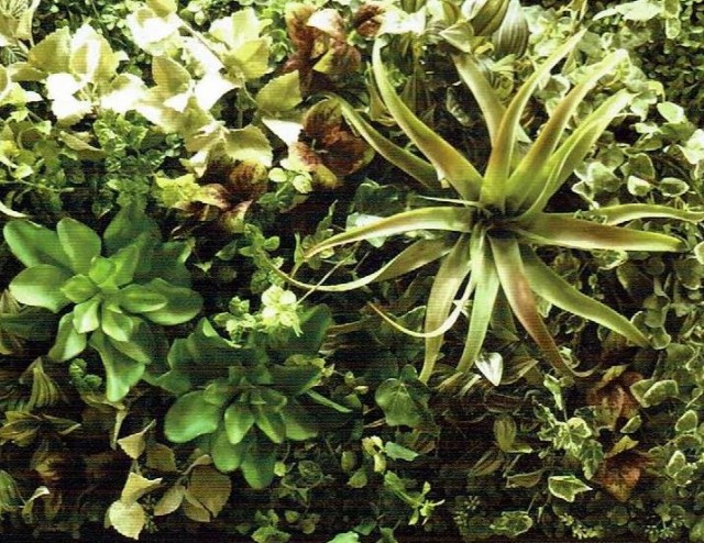 人気直販 人工観葉植物 アーティフィシャルグリーンアレンジ壁面植裁 幅78cm rg-017 インテリア 造花 人気直販 人工観葉植物 アーティフィシャルグリーンアレンジ壁面植裁 幅78cm rg-017 インテリア 造花