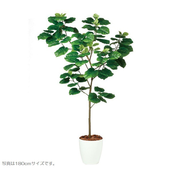無料発送 人工観葉植物 ウンベラータFST150 高さ150cm dt99103 (き) インテリアグリーン 造花, 勝沼町 34f4d71a