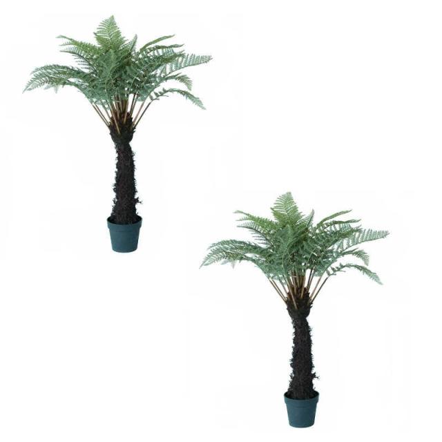 驚きの安さ 人工観葉植物 ディクソニアポット122 2個セット 660 0 シダ植物 き インテリアグリーン 造花 Pot Fern P65 流行に Graceowennursery Co Uk