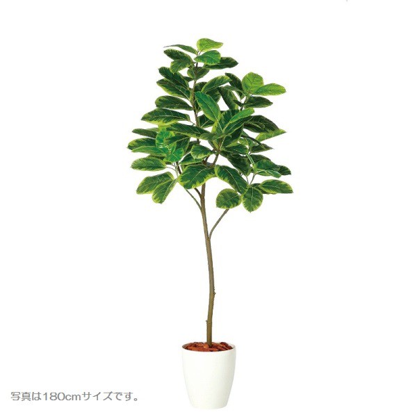 海外最新 人工観葉植物 アルテシマfst 150cm 高さ150cm Dt932 代引き不可 数量限定 特売 Transcargajg Com