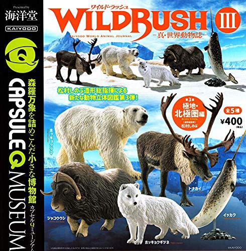 即日出荷 カプセルqミュージアム Wild Rush Iii 真 世界動物誌 第3章 極地 北極圏編 全5種セット フルコンプ 新色追加 Www Iacymperu Org