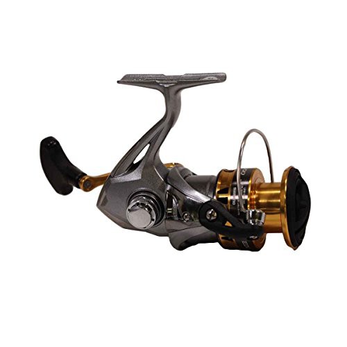 shimano spinning combo freshwater