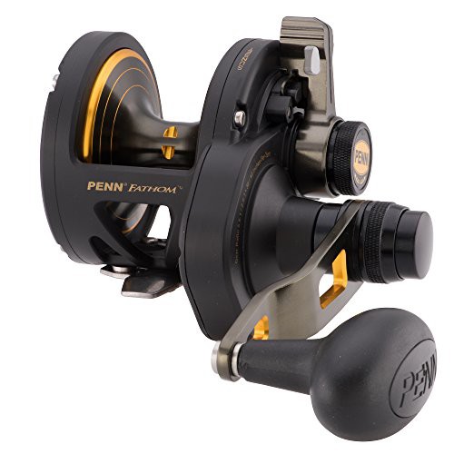 リール ペン Penn Penn FTH30LD2LH Fathom 30LD Lever Drag 2-Speed Bait cast Left Hand Fishing Reel