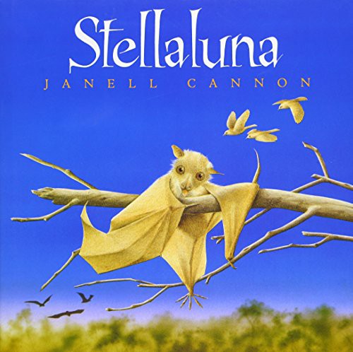 海外製絵本 知育 英語 Stellaluna