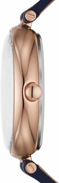 安い取扱店 腕時計 スカーゲン レディース Skagen Women´s Karolina Stainless Steel Solar Watch with Leather Str 安い取扱店 腕時計 スカーゲン レディース Skagen Women´s Karolina Stainless Steel Solar Watch with Leather Str