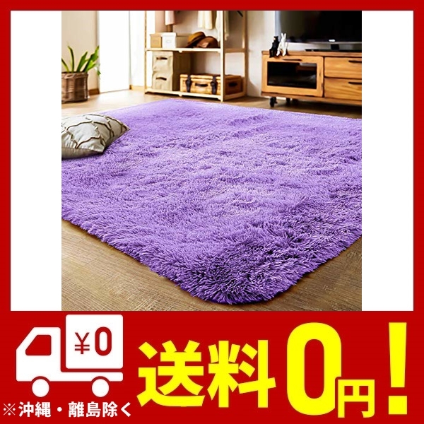 目玉 送料無料 Yj Gwl 洗えるラグ 2畳カーペット 紫ラグマット 12色 1 160cm 絨毯滑り止め付き ふわふわ 長方形 夏 シャギーラグ パープル Expectation Atechs In