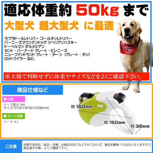 最安値に挑戦！ 犬 伸縮 リード AMIGO L 白緑 テープ 長5m 体重50kg 