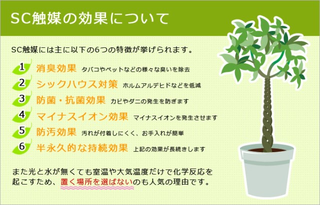 SC触媒について