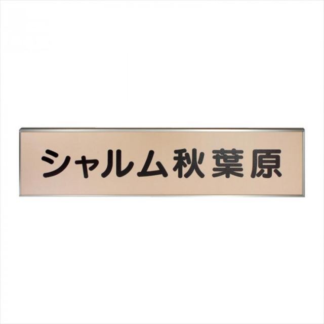 福彫 表札 チタン切文字 TIK-100