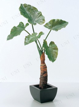 取寄品 タロリーフポットs 70cm A 人工観葉植物 サトイモ科 フェイクグリーン インテリアグリーンの通販はau Pay マーケット パーティワールド 商品ロットナンバー