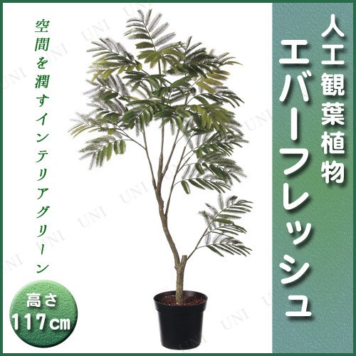 取寄品 人工観葉植物 エバーフレッシュポット 117cm フェイクグリーン インテリアグリーンの通販はau Pay マーケット パーティワールド 商品ロットナンバー